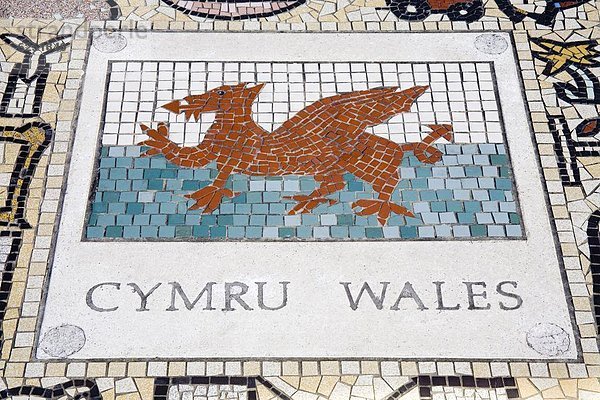 Europa  Großbritannien  Jahrtausend  Fliesenboden  Kopfbedeckung  Stadion  Welsh Corgi  Welsh Corgis  Mosaik  Wales