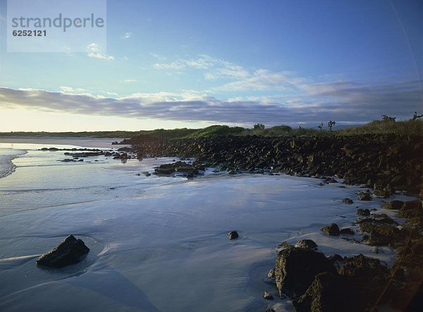 Ecuador  Galapagosinseln  Südamerika