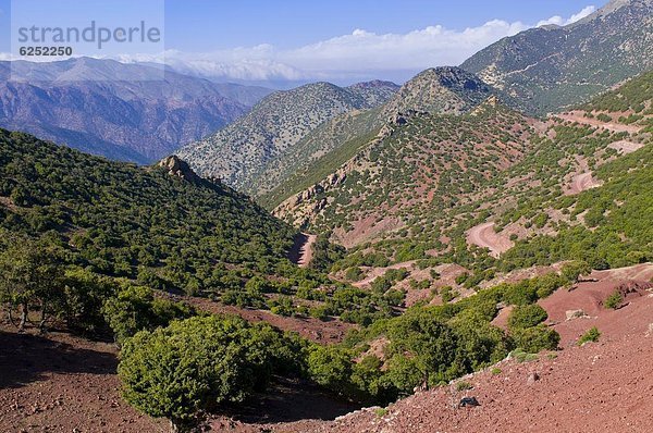 Nordafrika  Berg  Berglandschaft  Afrika  Marokko
