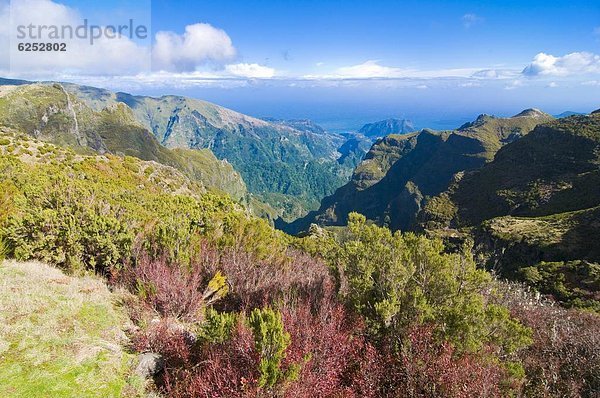 Europa  Madeira  Portugal