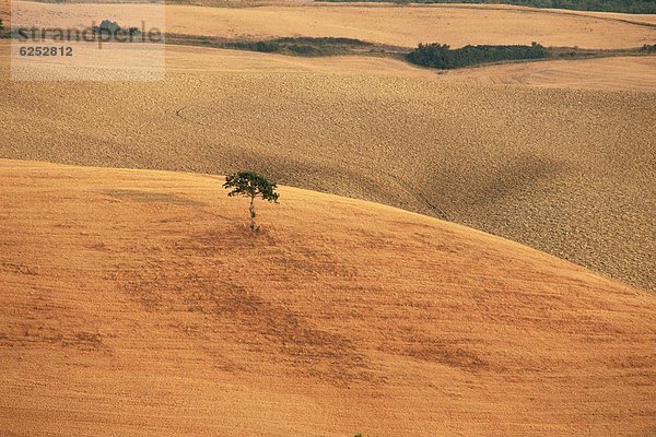 Val d ' Orcia  Provinz Siena  Toskana  Italien  Europa