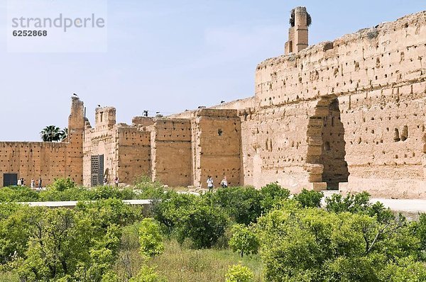 Nordafrika  Marrakesch  Afrika  Marokko