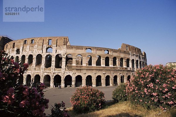 Das Kolosseum  Rom  Latium  Italien  Europa