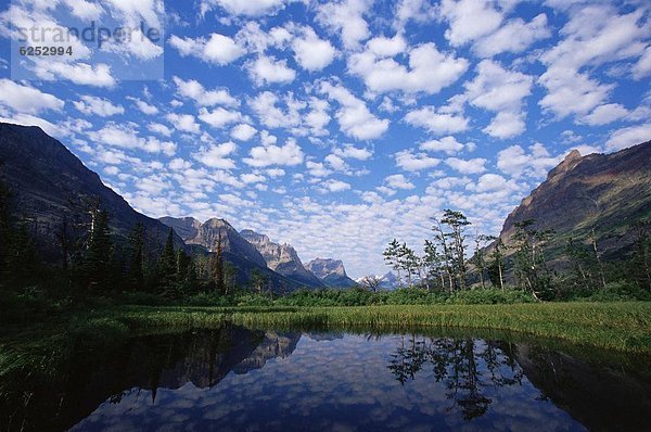 Vereinigte Staaten von Amerika  USA  Nordamerika  Glacier Nationalpark