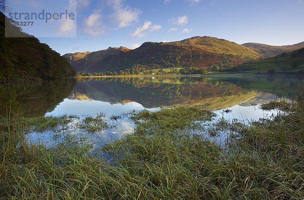 Wasser  Europa  Bruder  Großbritannien  See  Herbst  Ansicht  Cumbria  Ortsteil  England