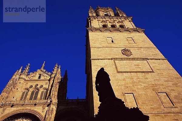 Kuppel  Europa  Silhouette  Hintergrund  Kathedrale  Statue  Kuppelgewölbe  neu  Salamanca  Spanien