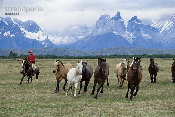 hinter  Berg  fahren  Torres del Paine Nationalpark  Gaucho  Chile  Patagonien  Südamerika
