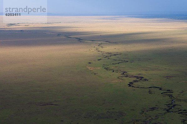 Ostafrika  Luftbild  Masai Mara National Reserve  Afrika  Kenia