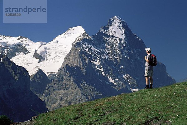 Europa  bedecken  sehen  wandern  Eiger  Norden  Westalpen  Bern  Grindelwald  Schnee  Schweiz