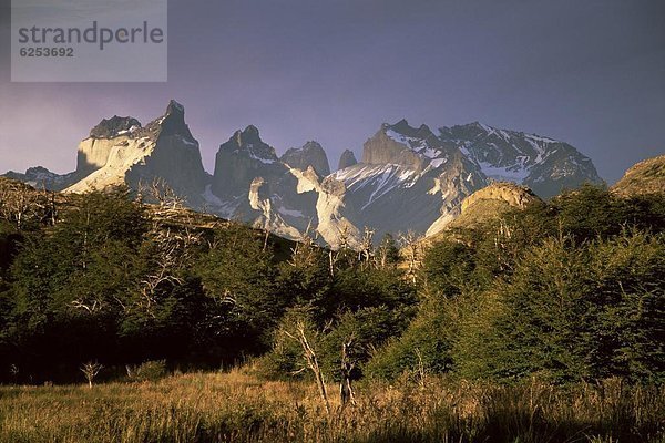 Cuernos del Paine  Torres del Paine Nationalpark  Patagonien  Chile  Südamerika