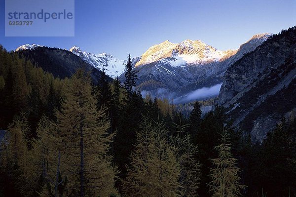 Europa Kanton Graubünden Engadin Schweiz