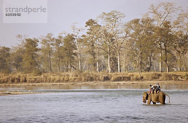 nehmen  Regenwald  Hotel  Fluss  Safari  Insel  Urlaub  Gast  Elefant  Asien  Nepal