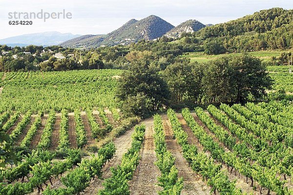 entfernt  Frankreich  Europa  Dorf  Ansicht  Weinberg  Provence - Alpes-Cote d Azur  Distanz  Vaucluse