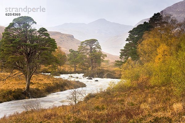 Europa  Großbritannien  Fluss  Herbst  Ansicht  vorwärts  Tal  Highlands  Schottland  Torridon  Wester Ross