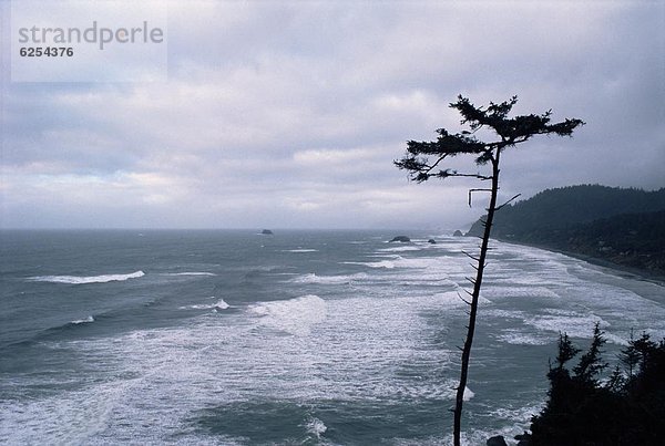 Felsbrocken Küste Nordamerika Pazifischer Ozean Pazifik Stiller Ozean Großer Ozean Oregon Wellen brechen