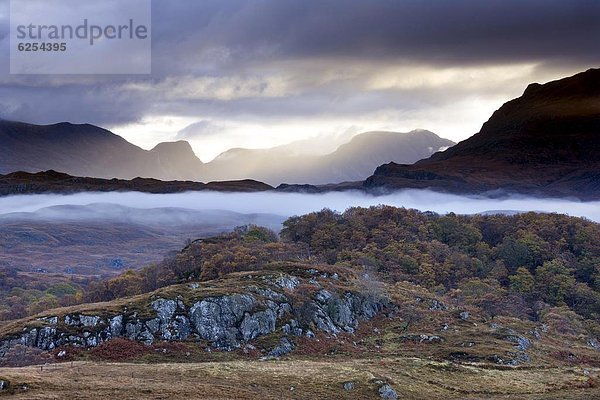 nahe  Laubwald  Europa  Morgen  Großbritannien  über  Dunst  hängen  früh  See  Highlands  Schottland  Wester Ross