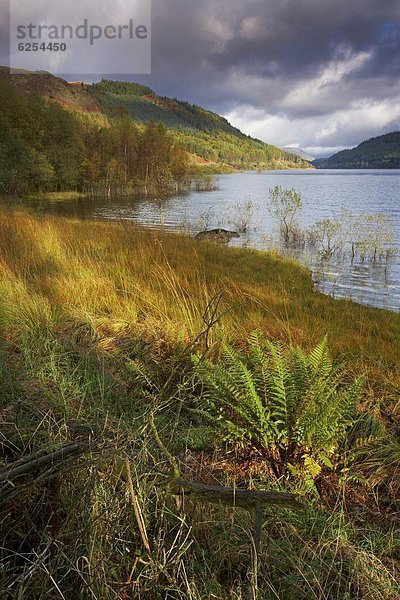 Europa  Schönheit  Morgen  Großbritannien  Beleuchtung  Licht  Sturm  früh  Cumbria  England