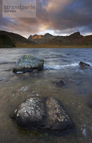 Europa  Abend  Großbritannien  ernst  Cumbria  England  November  Tarn