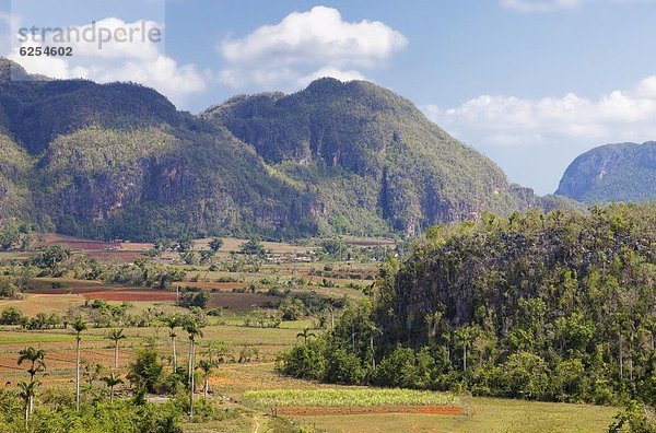 Landwirtschaft  dramatisch  Westindische Inseln  Mittelamerika  UNESCO-Welterbe  Pinar Del Rio  Viñales  Kuba  Valle