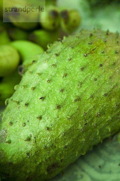 Frucht  Karibik  Mittelamerika  Wachstum