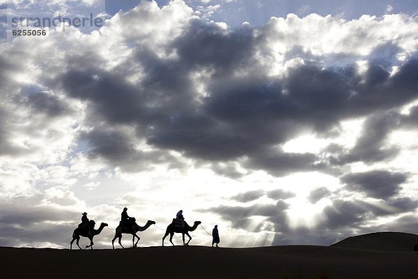 Nordafrika  nahe  führen  Mann  Silhouette  Meer  Sand  Düne  3  vorwärts  Kamel  Afrika  Berber  Merzouga  Marokko