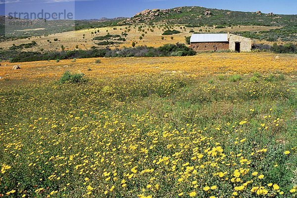 Südliches Afrika  Südafrika  Afrika