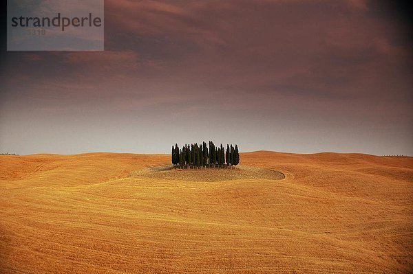 Italien  Toskana  Val d'Orcia