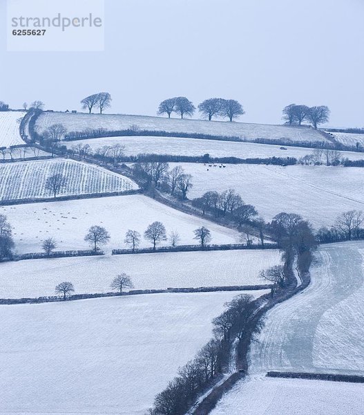 nahe  Ländliches Motiv  ländliche Motive  Biegung  Biegungen  Kurve  Kurven  gewölbt  Bogen  gebogen  Landstraße  Europa  bedecken  Großbritannien  Landschaft  Devon  England  Schnee
