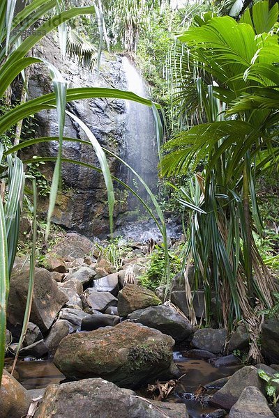 Wasserfall  UNESCO-Welterbe  Afrika  Seychellen