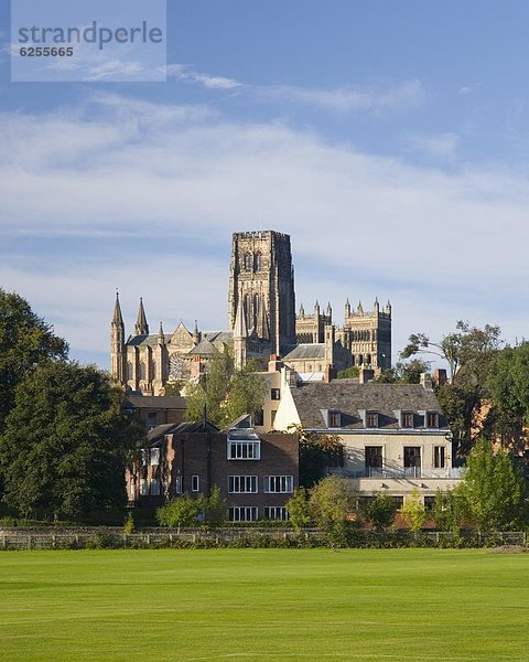 Flussufer  Ufer  Europa  Großbritannien  Kathedrale  Feld  Ansicht  Durham  England  spielen