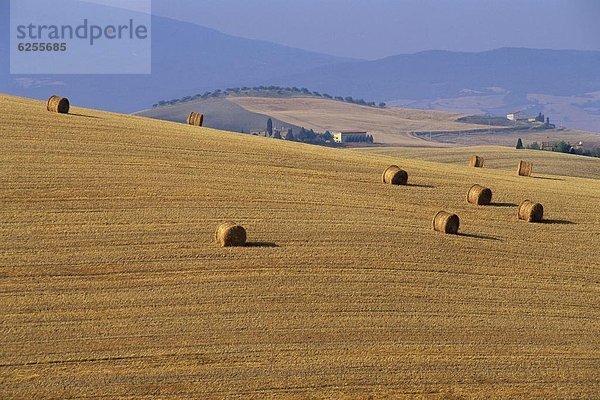 Europa  Heuballen  Italien  Toskana  Val d'Orcia