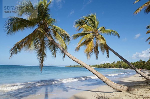 Karibik  Westindische Inseln  Mittelamerika  Martinique  Windward Islands