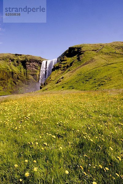 Skogarfoss waterfalls  Southern Iceland  Polar Regions
