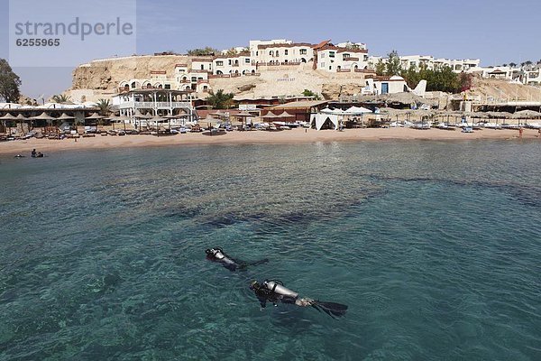 Nordafrika  durchsichtig  transparent  transparente  transparentes  Wasser  Fröhlichkeit  Meer  rot  Taucher  Hai  Afrika  Bucht  Ägypten  Scharm El-Scheich  Sharm el-Sheikh