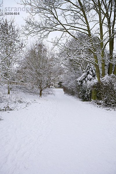 Schnee bedeckter Fußweg  Hampstead Heide  London  England  Großbritannien  Europa