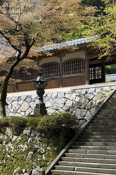 Zen  Treppe  Eingang  Zentrale  Buddhismus  Japan  Sekte