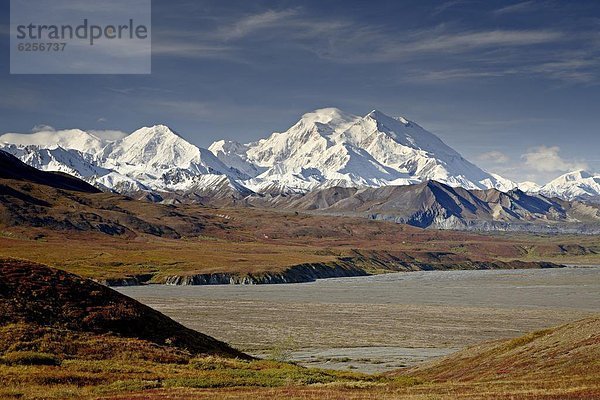 Vereinigte Staaten von Amerika  USA  Nordamerika  Denali Nationalpark  Alaska
