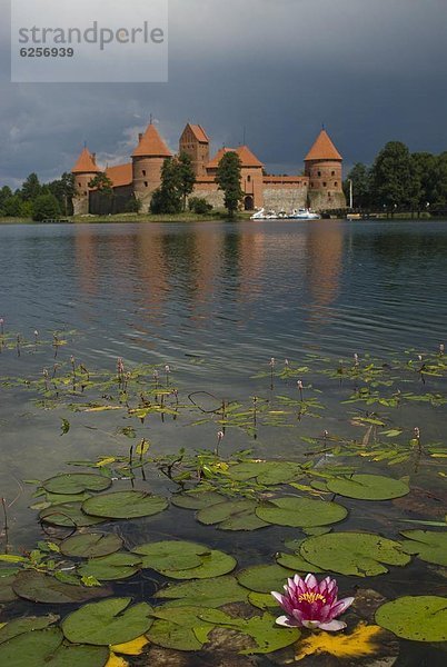 Wasser  Europa  See  Spiegelung  Lilie  Litauen  Trakai