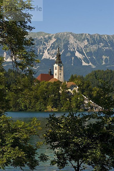 Europa See Kirche Insel Menschliches Blut Bled Slowenien