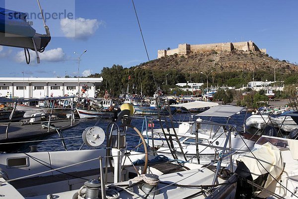 Nordafrika  Hafen  Boot  Festung  Hintergrund  angeln  Afrika  Jahrhundert  Tunesien