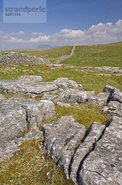 Steinmauer  Großbritannien  über  trocken  Bürgersteig  Vorbereitung  Yorkshire and the Humber  England  Kalkstein