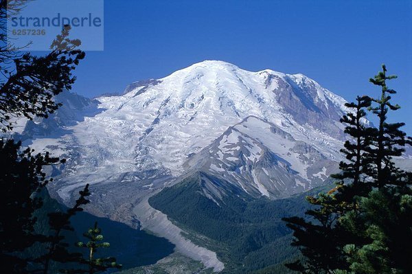 Berggipfel  Gipfel  Spitze  Spitzen  Nordamerika  Eisfeld  Cascade Mountain  Mount Rainier Nationalpark  Washington State