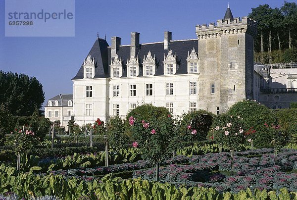 Frankreich Europa Gemüse Garten Palast Schloß Schlösser UNESCO-Welterbe Loiretal