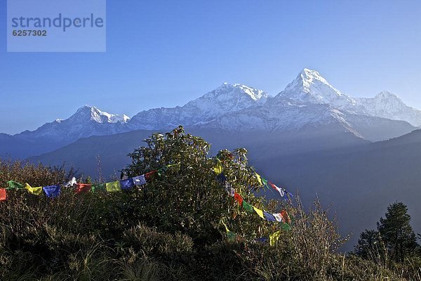 Hügel  Morgendämmerung  Ansicht  Himalaya  Annapurna  Asien  Nepal