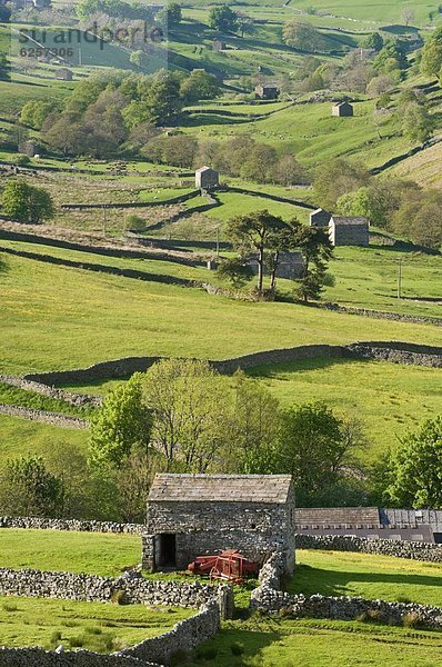 Steinmauer  Europa  Großbritannien  trocken  Scheune  Yorkshire and the Humber  England  Swaledale