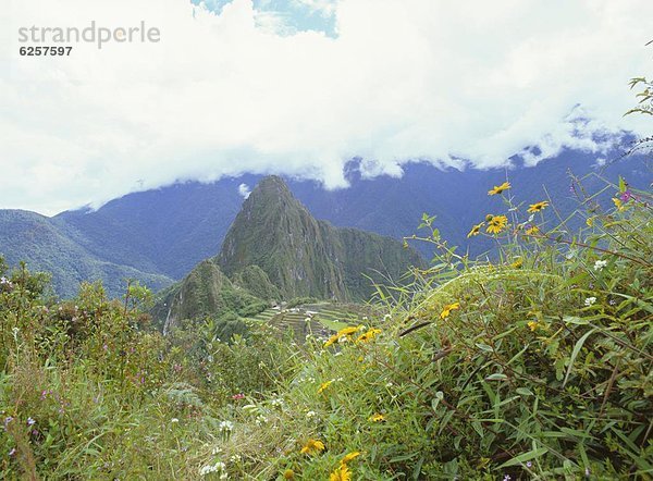 entfernt  Ruine  Ansicht  Ruinenstadt Machu Picchu  UNESCO-Welterbe  Inka  Peru  Südamerika