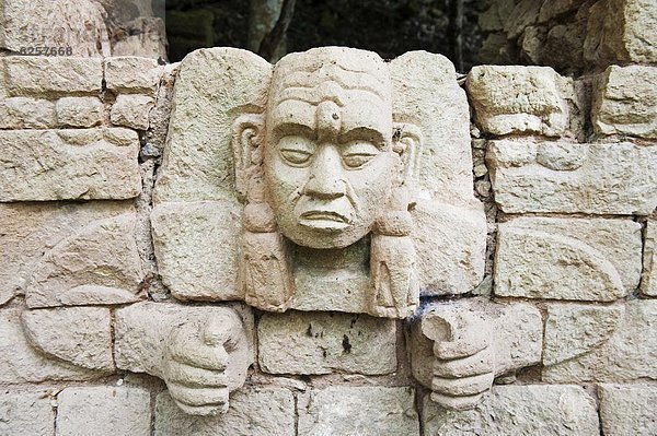 Stein  Mittelamerika  Bildhauerei  UNESCO-Welterbe  Archäologie  Maya  Honduras