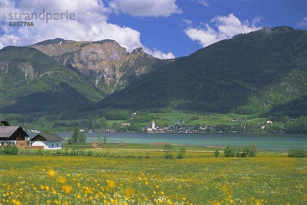 Europa Österreich Wolfgangsee