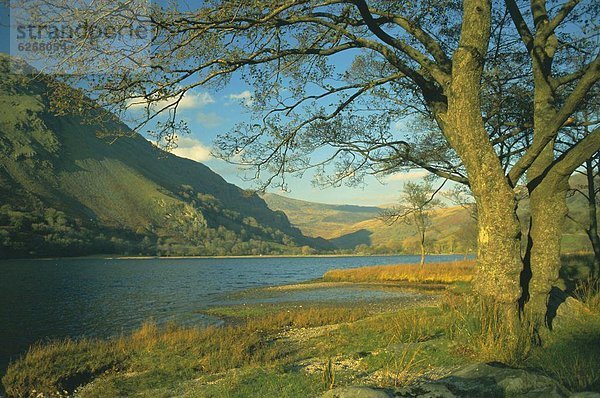 Europa  Großbritannien  Gwynedd  North Wales