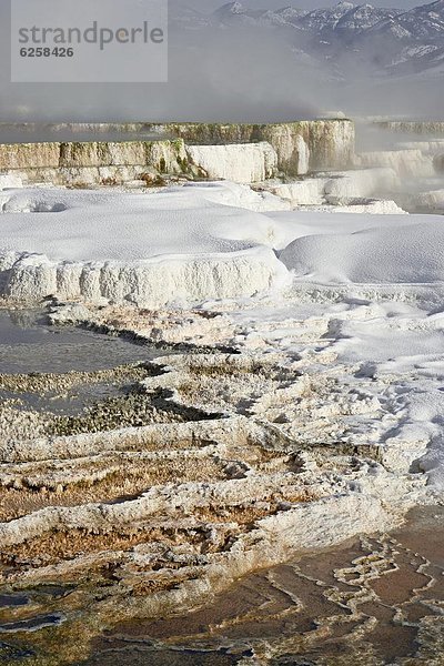 Vereinigte Staaten von Amerika  USA  Wärme  Nordamerika  Terrasse  UNESCO-Welterbe  Yellowstone Nationalpark  Schnee  Wyoming